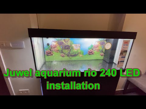 juwel aquarium rio 240 led installation ??