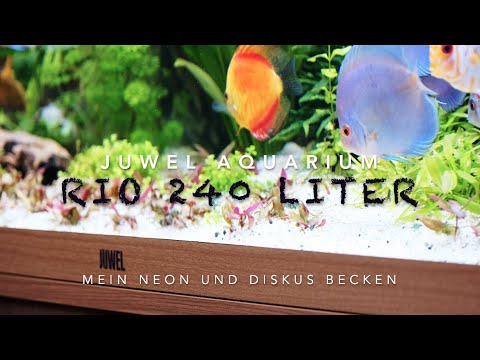 Juwel Aquarium Rio Diskus – So sieht es aus – Anfallende Kosten – Tipps – Einrichtung –  Setup