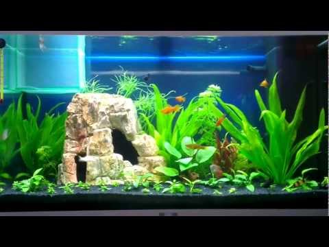 JUWEL AQUARIUM RIO125 – S&D Cenić – NIŠ