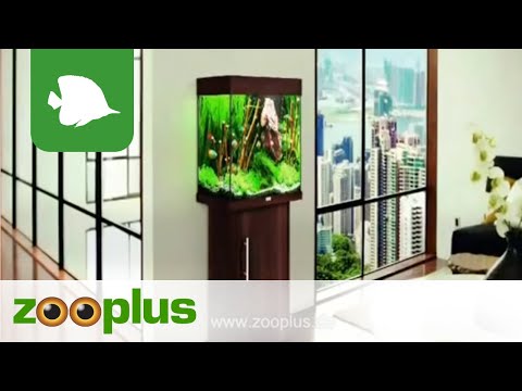Juwel Aquarium  Schrank-Kombination Lido 120 | zooplus