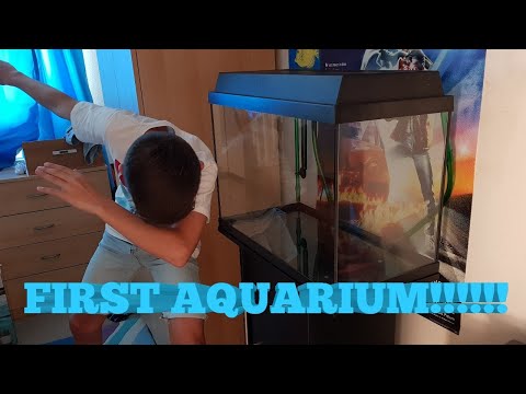 Juwel Aquarium – setup week 1