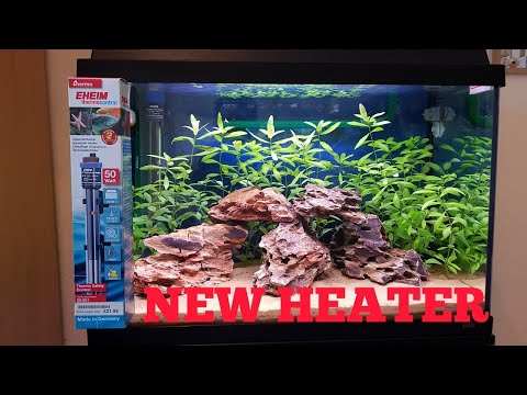 Juwel aquarium setup week 4 – New heater!!!!