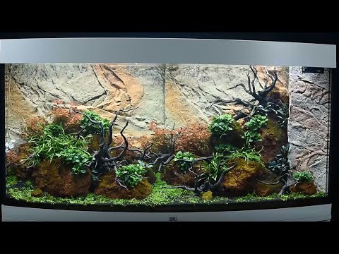 Juwel Aquarium Vision 260 Einrichtungsbeispiel / Tutorial
