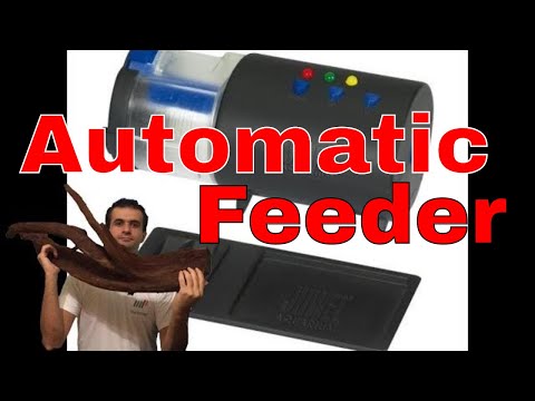 Juwel Automatic Feeder Review