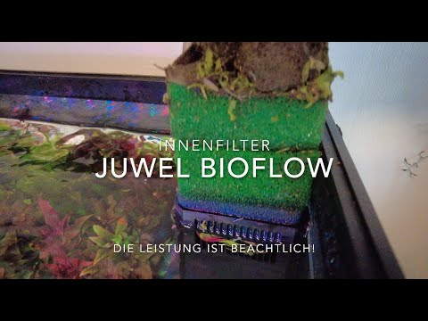 Juwel Bioflow Filter Ausbauen oder Nutzen? Wie gut ist der Filter wirklich? Praxistest 240 Liter Rio