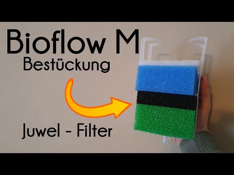 Juwel Bioflow M bestücken (107)