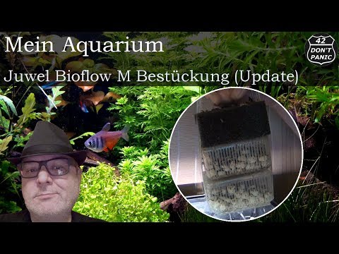 Juwel Bioflow M – Bestückung (Update) | Mein Aquarium 50