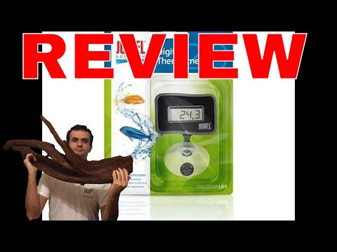 Juwel Digital Thermometer Review