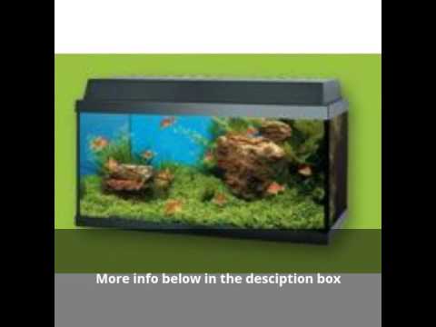 juwel fish tank – Juwel Korall 60 Goldfish Aquarium