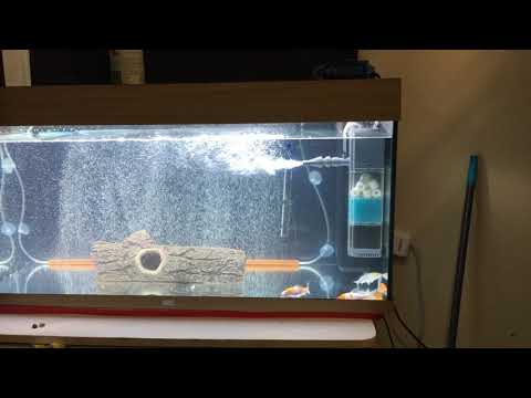 JUWEL FISH TANK