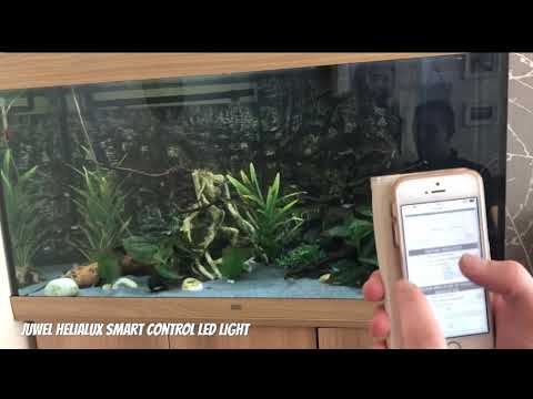 Juwel HeliaLux Aquarium Smart Control Light!! Stunning!!