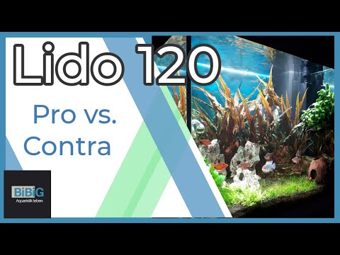 Juwel Lido 120 – Pro & Contra Review der beliebten Aquarium-Kombination | BiBiG