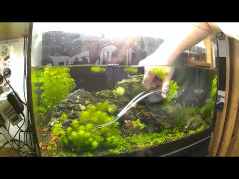 Juwel Primo 70L – DAY 36 repair poster
