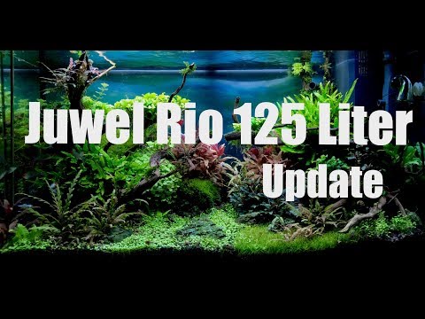 Juwel Rio 125 Liter Aquascape / Update