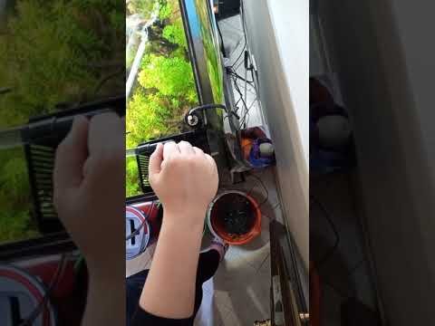 Juwel rio 180 clean routine