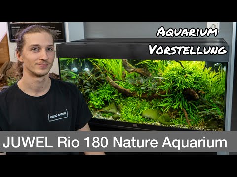 Juwel Rio 180L Aquascape  Aquarium Vorstellung | Liquid Nature