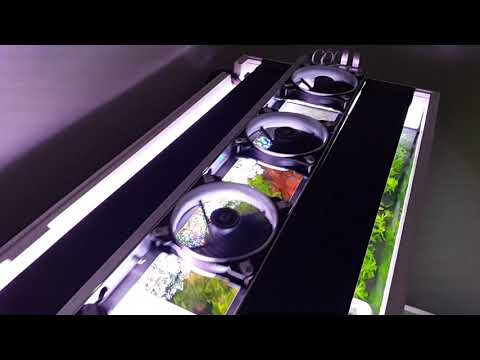 Juwel Rio 240-aquarium cooling 2020