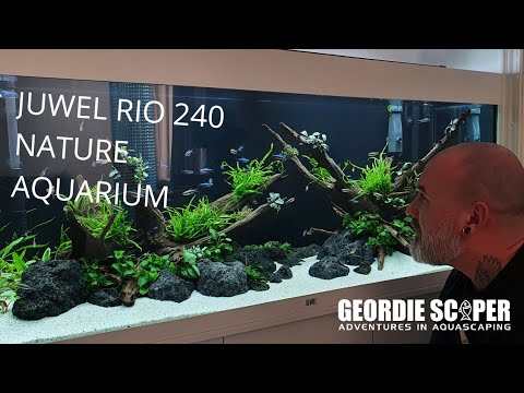 JUWEL RIO 240 LOW TECH NATURE AQUARIUM (LOW LIGHT & NON CO2) 2020
