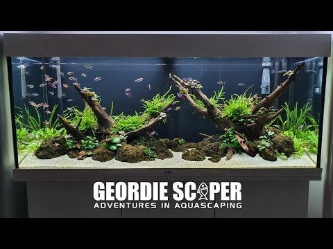 JUWEL RIO 240 NATURE AQUARIUM (CINEMATIC) RELAXING 2020