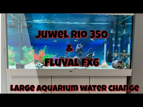 Juwel Rio 350 & Fluval FX6, featuring large aquarium water changes