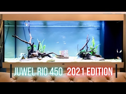 JUWEL RIO 450 LED | 2021 EDITION | SETUP
