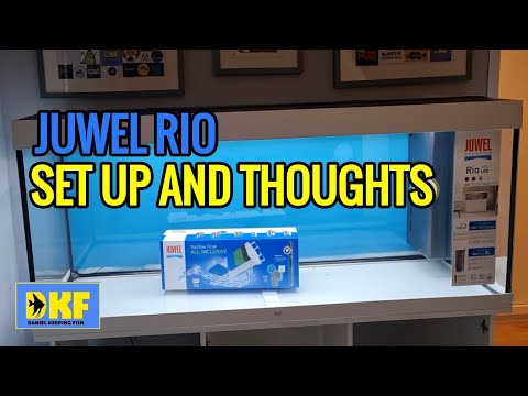 JUWEL RIO AQUARIUM – SET UP AND THOUGHTS