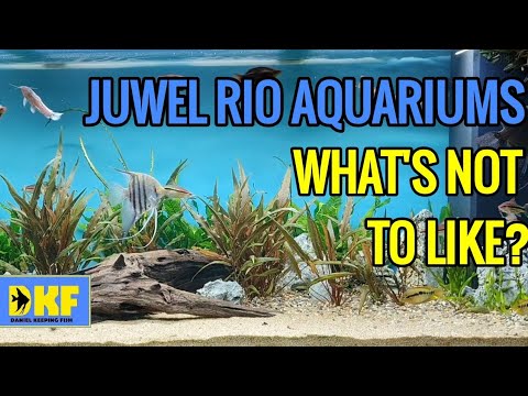 JUWEL RIO AQUARIUM WHAT'S NOT TO LIKE?