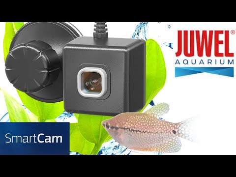 Juwel SmartCam im Test #Juwel
