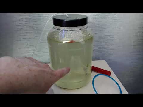 Juwel tank update, innovative marine tank update, algae problems and copepods.