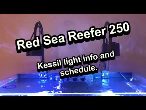Kessil 360 lights and schedule on my Red sea 250.