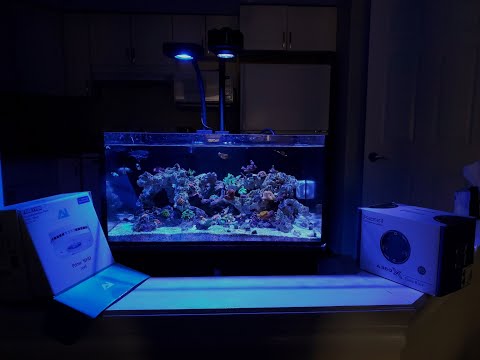 Kessil 360x Unboxing & vs Prime 16HD (IM 25) 4k – Side by Side Comparison