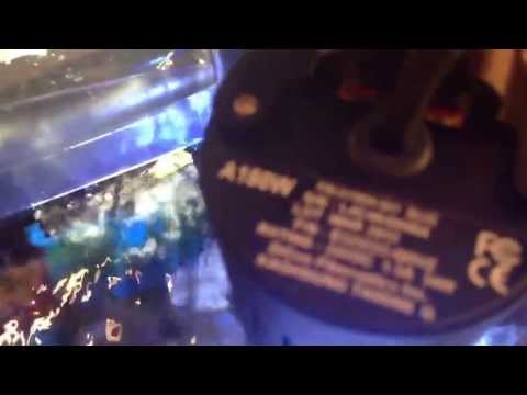 Kessil a150w sky blue