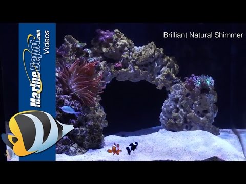Kessil A160WE LED Aquarium Light – Product Overview