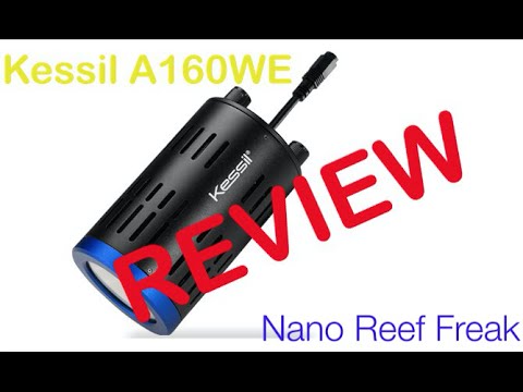 Kessil A160WE Review and Comparison