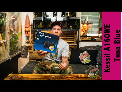 Kessil A160WE Tuna Blue Deutsch