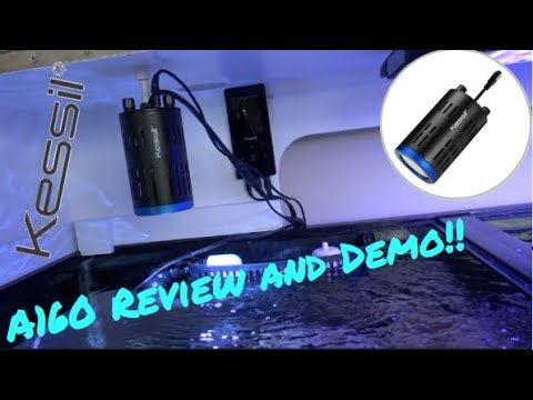 Kessil A160WE Tuna Blue Review