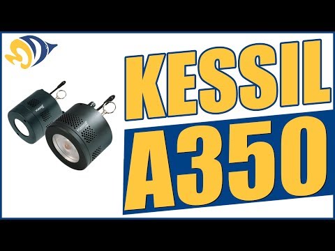 Kessil A350 Dimmable Special Blend LED Aquarium Light "Tuna Blue" First Look