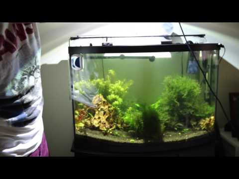 Kessil A360 Tuna Sun