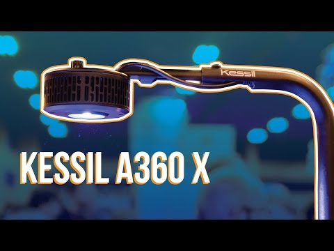 Kessil A360 X: Review e Opiniões (2019)