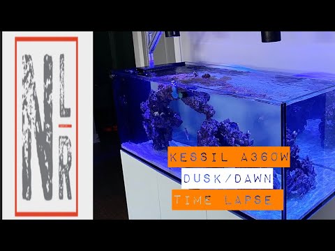 KESSIL A360W Dusk/Dawn Time Lapse of the Waterbox Peninsula Dream Tank Build
