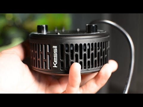 Kessil A360x