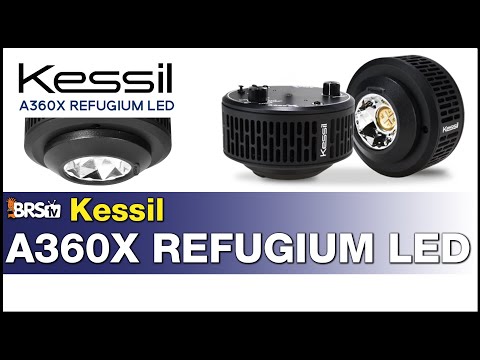 Kessil A360x Refugium Light: Finally! A fully controllable refugium LED horticulture light.