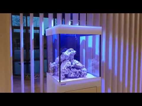 Kessil A360X TUNA BLUE (AVAILABLE BY AQUALIFE BELGIUM)