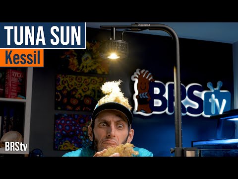 Kessil A360X Tuna Sun. A White Daylight LED Light You Can Use On Your Saltwater Aquarium.