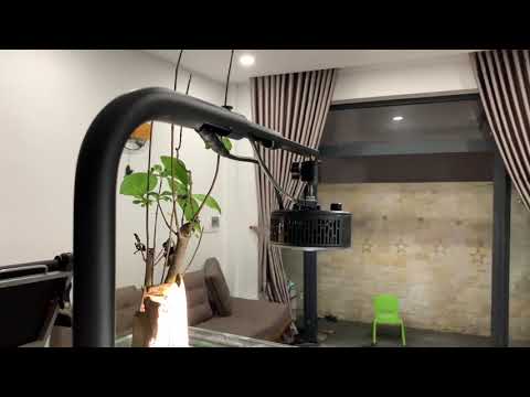 kessil a360x tuna sun & dongle wifi