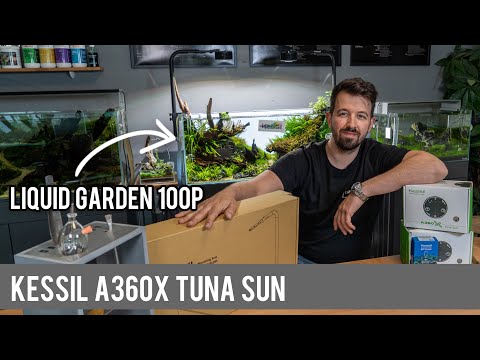 Kessil A360X Tuna Sun | Neue Lampen für das 100P Liquid Garden Aquascape
