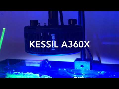 Kessil a360x