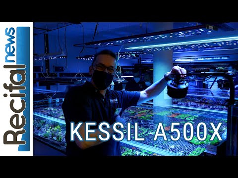 Kessil A500X – Présentation