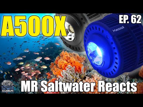 KESSIL A500X Tuna Blue Aquarium LED – MR Saltwater Reacts
