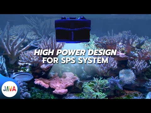 KESSIL A500X TUNA BLUE REVIEW